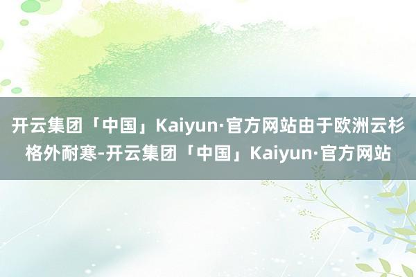 开云集团「中国」Kaiyun·官方网站由于欧洲云杉格外耐寒-开云集团「中国」Kaiyun·官方网站