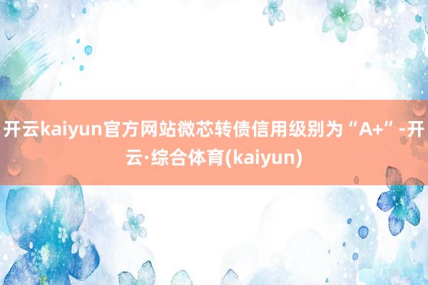 开云kaiyun官方网站微芯转债信用级别为“A+”-开云·综合体育(kaiyun)
