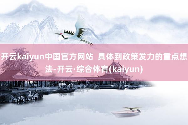 开云kaiyun中国官方网站  具体到政策发力的重点想法-开云·综合体育(kaiyun)