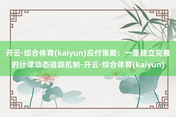 开云·综合体育(kaiyun)应付策略:一是建立完善的计谋动态追踪机制-开云·综合体育(kaiyun)