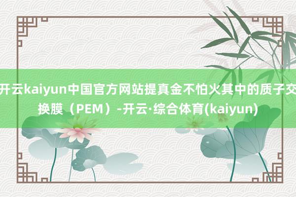 开云kaiyun中国官方网站提真金不怕火其中的质子交换膜(PEM)-开云·综合体育(kaiyun)